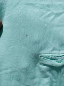 Mint Green Button-Down Shirt