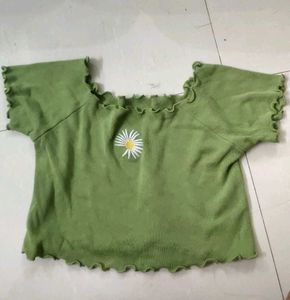 Green Daisy Embroidered Crop Top