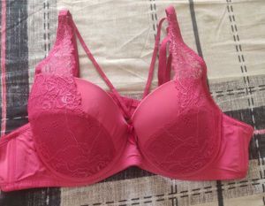 Wired Padded Rani Pink Bra With Lace Detail