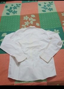 Max Shirt For Boys