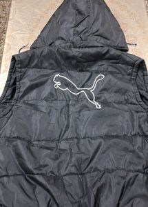 Padded Jacket with Hood