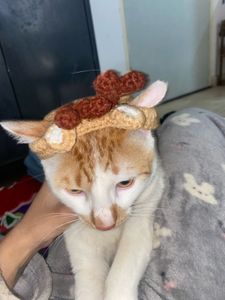 Crocheted Reindeer Cat Hat