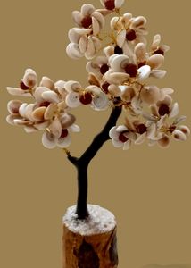 Gomtichakra Rudrax Tree