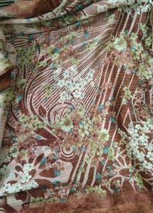 Brown Saree