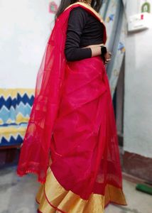 Red Organza Saree With Golden Border