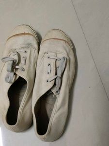 Canvas Mens Shoes