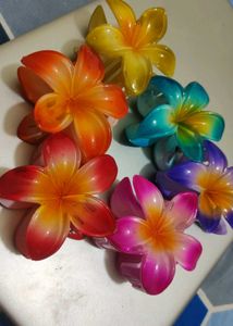 Colorful Flower Hair Clips Set Of 2