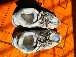 Sneakers Unisex