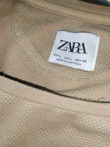 Zara Men&#39;s Basic Brown T-shirt (Single)