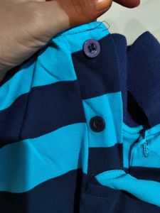 Striped Polo Shirt