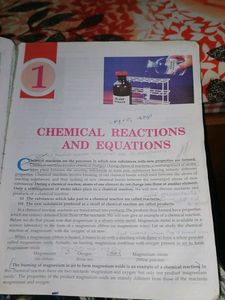 Lakhmir Singh Chemistry Class 10