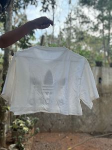 Adidad Crop T Shirt
