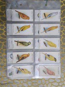 Vintage Bird Cards