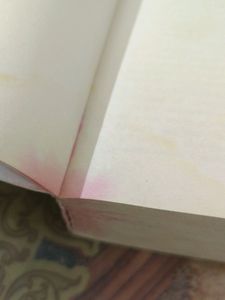 Stephen King Novel - Insomnia