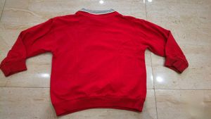 Red Dinosaur Sweatshirt