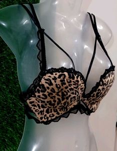 Animalier Sexy Spong Cups
