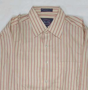 Allen Solly Striped Shirt