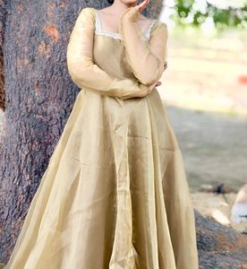 Elegant Anarkali Gown