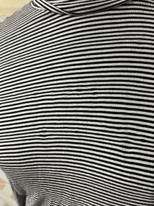 Turtle Neck Top