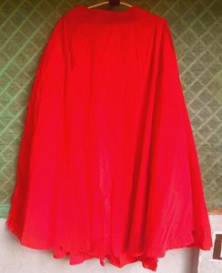 Festive wear Long Ethnic Skirt With Velvet Crop To