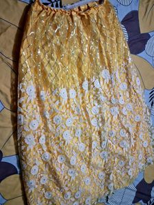 Gorgeous Lehenga Choli
