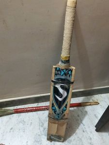 Bat