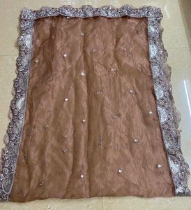 Elegant Sequin Dupatta ( Price Negotiable )