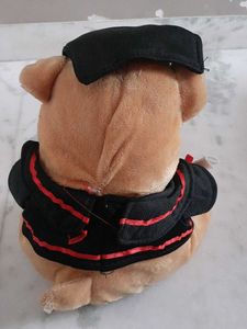 Graduation Bear Plush Toy