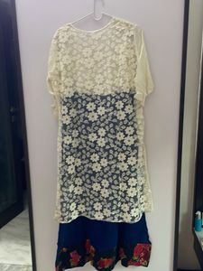 Elegant erode, net Kurta with georgette inner