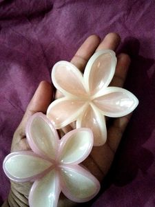 Flower Hair Clips (Set of 2)