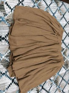 Brown Skirt