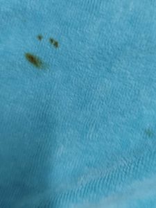 Blue Velour Shorts