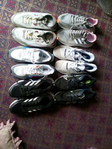 Sale price for branded Sheos