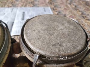 Bongo Drum