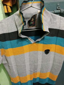Striped Polo T-Shirt