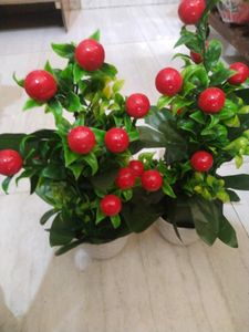 🍒 artificial plant pot