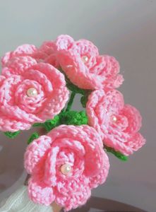 Crochet Pink Roses 🎀