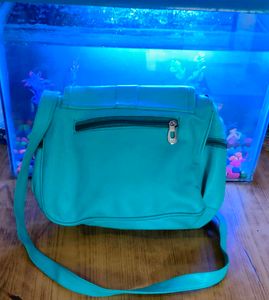 Sea Green Carry Bag