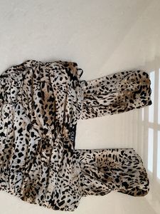 Animal Print Mini Dress