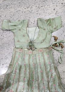 Elegant Sage Green Lehenga