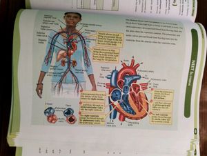 PW NCERT Punch Biology