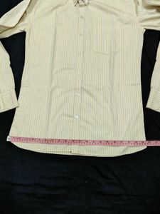 Light Yellow Formal Button Down Shirt