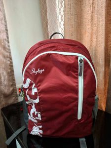 Skybags Bagpack