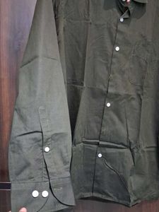 Olive Green Button-Down Shirt