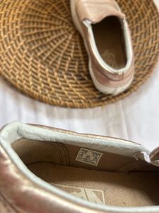 Vans Shoe