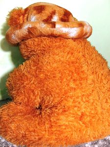 Orange Teddy Bear 🧸