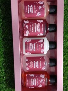 The Love Co Japanese Cherry Blossom Kit