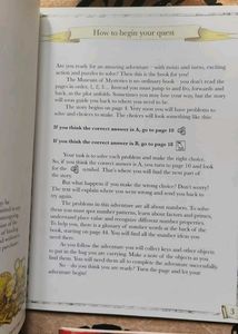 Mystery Puzzle Books Combo