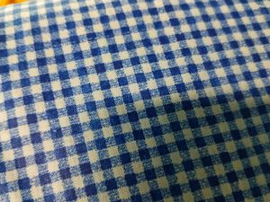 Blue &amp; White Gingham Fabric