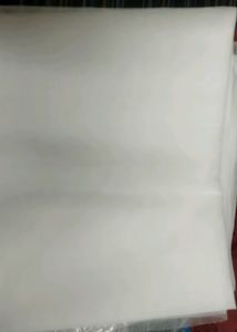 White Net Saree